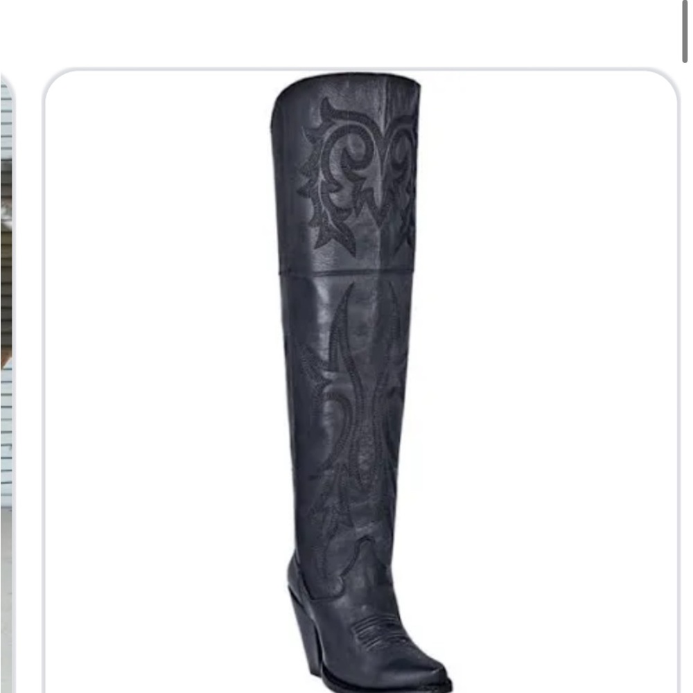 Brand new never worn dan post boots.  Size 7.5.